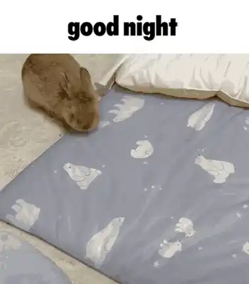 goodnight